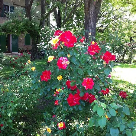 Casa A Soliera Bed & Breakfast Sorbara