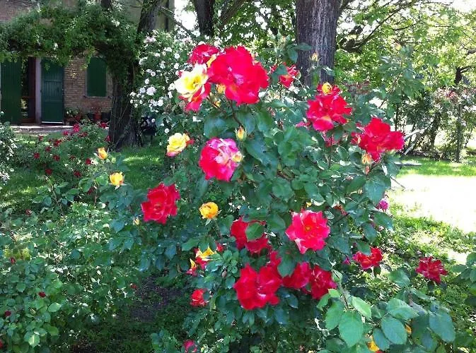 Casa A Soliera فندق مبيت وإفطار Sorbara