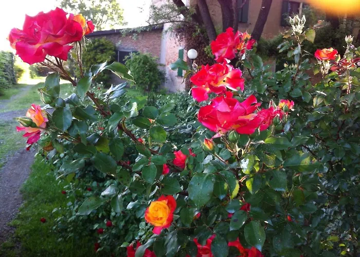 Bed & Breakfast Casa A Soliera 3*